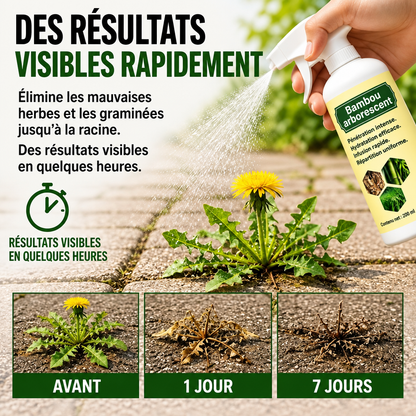 🔥2026 SALE - Fast-Acting Natural Weed & Grass Killer Spray